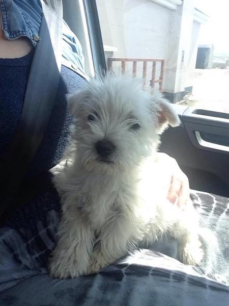 Name for this little girl?