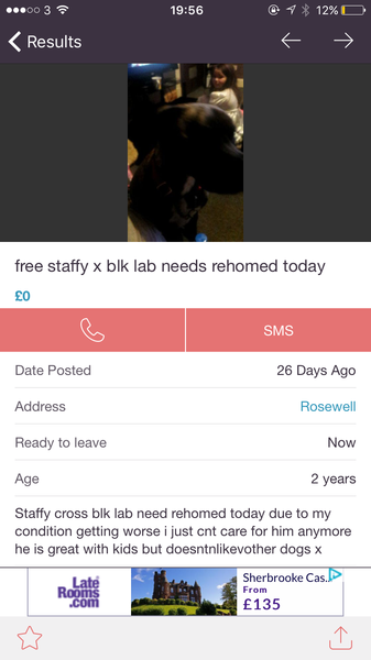 To want to rescue a dog?