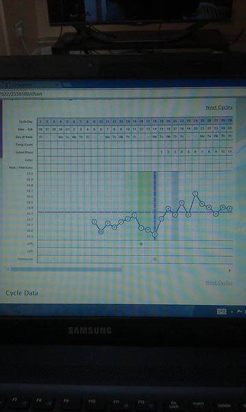BBT CHART - HELP NEEDED!