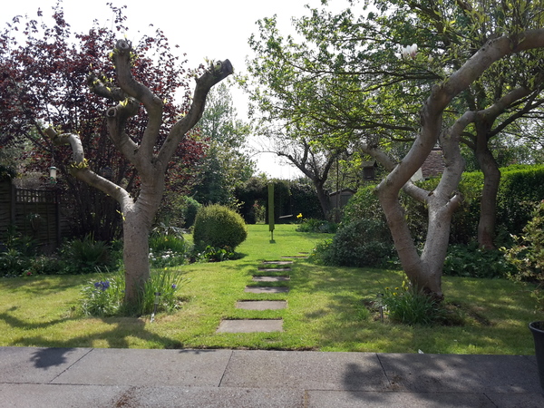 Thread #6 - TTC#1 Grads - Sun roasted pregnant ladies