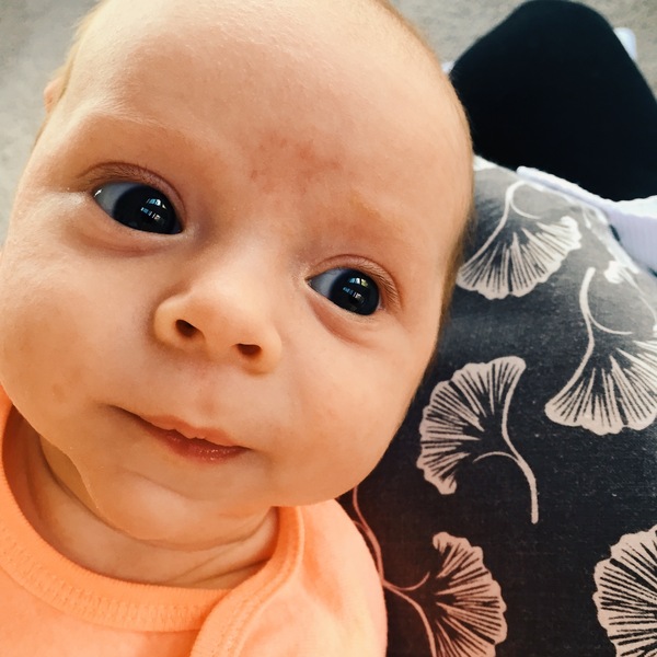 March 2016: the one where Indomitable gives birth...