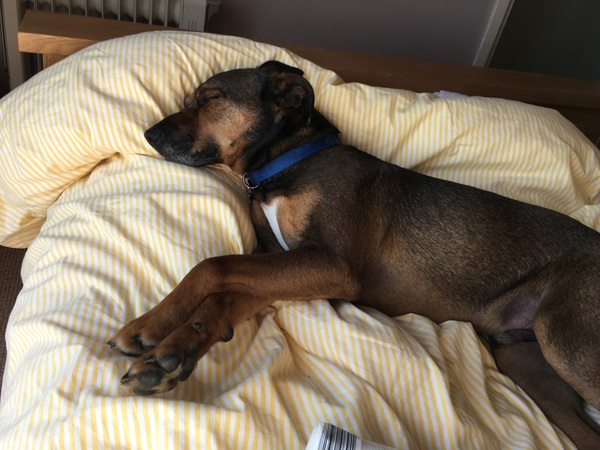 Thread #5 - TTC#1 grads thread - now we're cooking with charcoal!