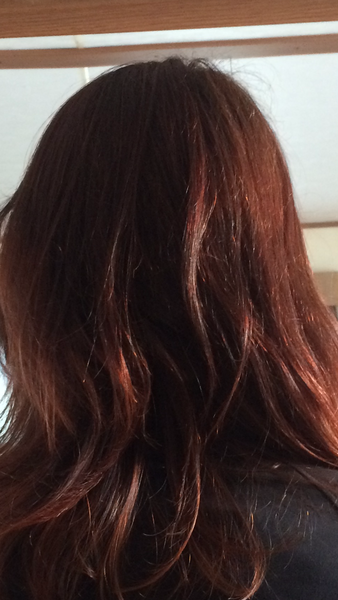 LUSH henna - why has it took me so long to find this fabulous stuff?