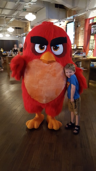 See what MNers thought about the new film, The Angry Birds Movie! NOW CLOSED