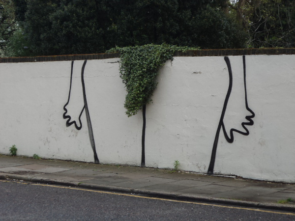 How can I make my neighbour trim her bush?