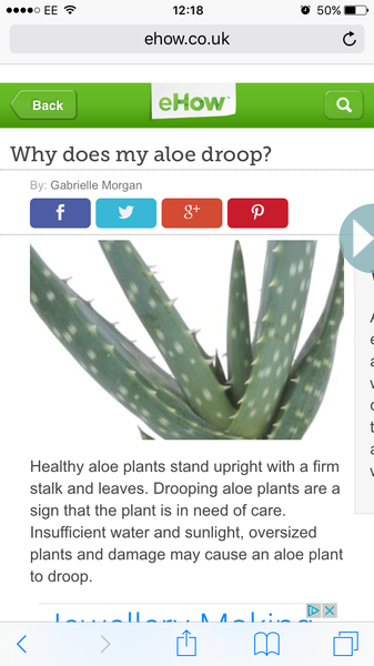 MLM Bot Watch 22 - Powered by Yazoo: Tragicomic cultic wampum flogging scamalangadingdongs like Forever Living, Ariix, Herbalife, Younique, Juiceplus, LifeTreeWorld