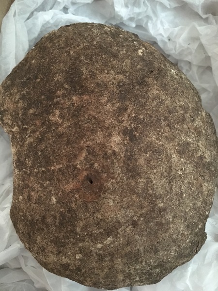 With a human skull in the garden?