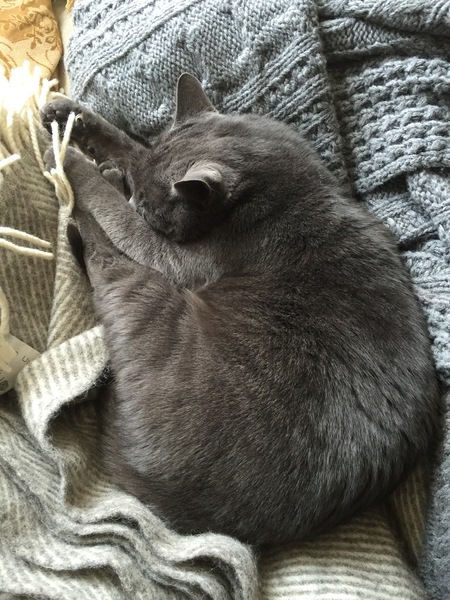 Merlin the Marvellous!