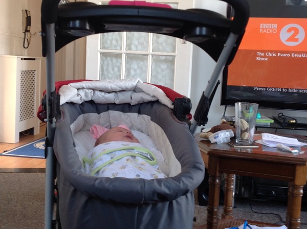 March 2016: the one where Indomitable gives birth...