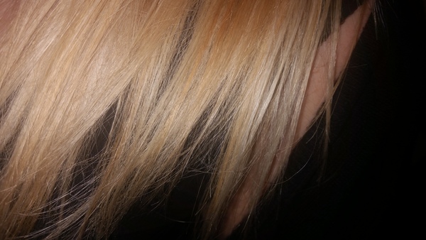 Hair Dye Disaster!