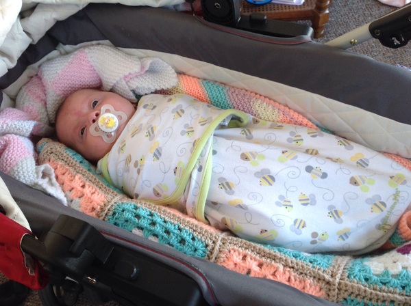 March 2016: the one where Indomitable gives birth...