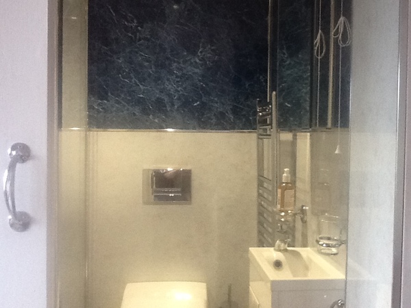 Has anyone installed acrylic/glass shower panesl- mermaid/Vistelle/stormwall?