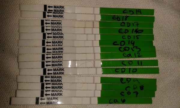 TTC after miscarriage thread #4