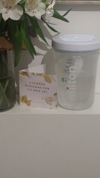 See what Mumsnetters think of the Milton Solo Travel Steriliser and antibacterial wipes. £300 John Lewis voucher to be won for testers’ feedback! NOW CLOSED