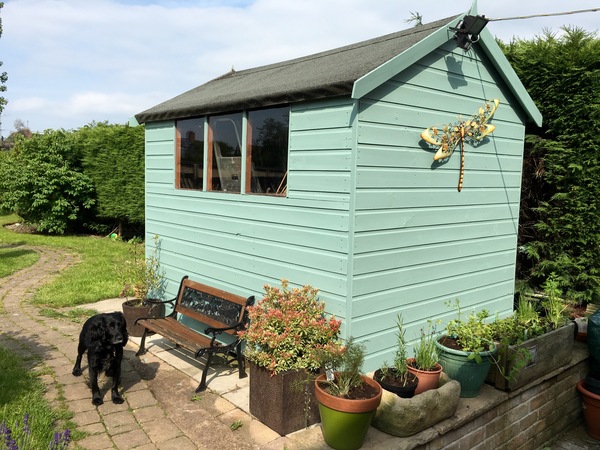 If your shed is blue or green, what paint did you colour it?