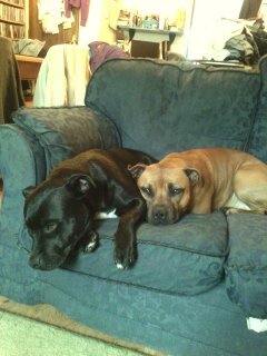 "But we took you to Stately Homes" - survivors of dysfunctional and toxic families