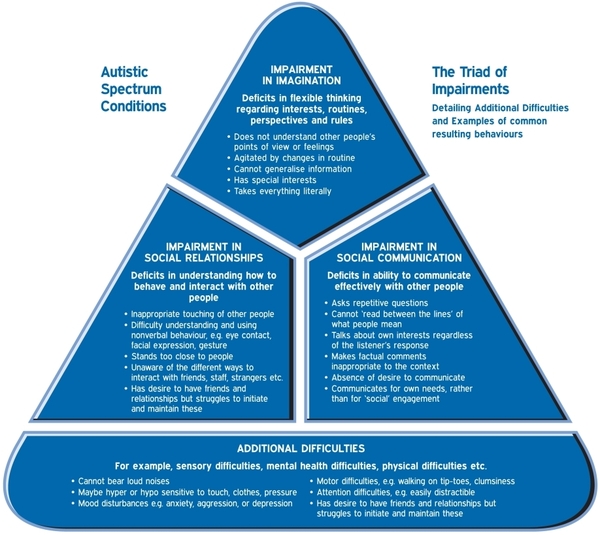Normal 4 year old or ASD?