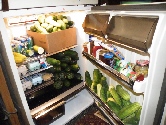 My colleague has twat me over the head with a courgette..