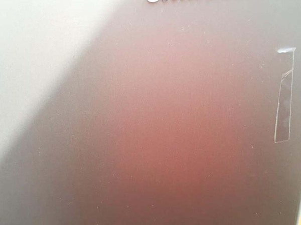 My colleague has thrown my lunch in the bin