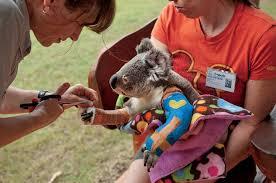 To wonder what on earth all these myserious hobbies on MN are?