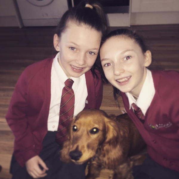 Find out what Mumsnetters thought of the Pedigree® Dog Food Range. £300 voucher prize draw for testers’ feedback. NOW CLOSED