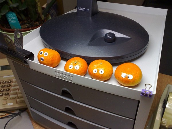 My colleague has thrown my lunch in the bin