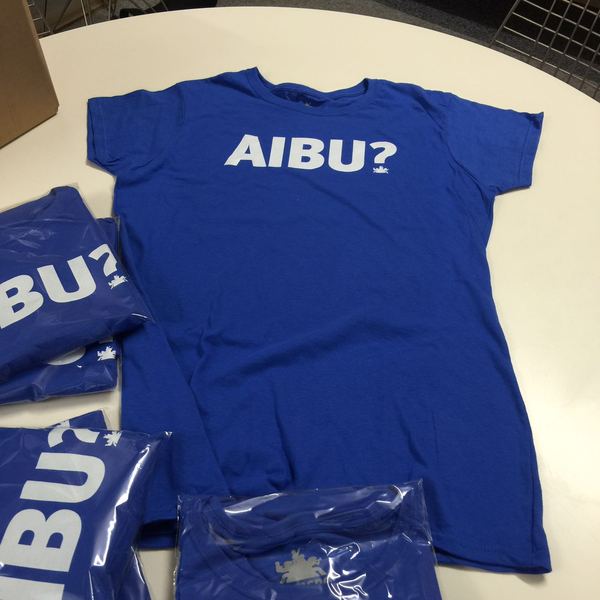 MNHQ are doing the Moonwalk - please sponsor us