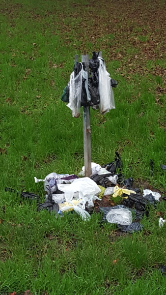 Bagged dog poo hanging from various branches in parks.