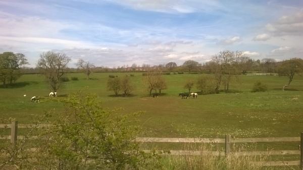 May the frugaleering be with you - frugal chat and support for frugalers old and new.