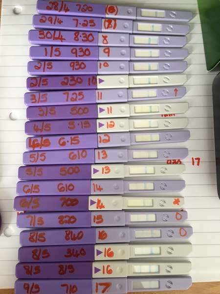 A thread for anyone TTC with a ClearBlue Fertility Monitor!