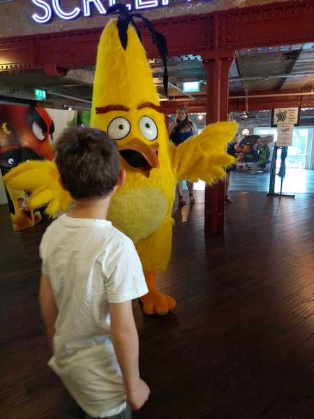 See what MNers thought about the new film, The Angry Birds Movie! NOW CLOSED