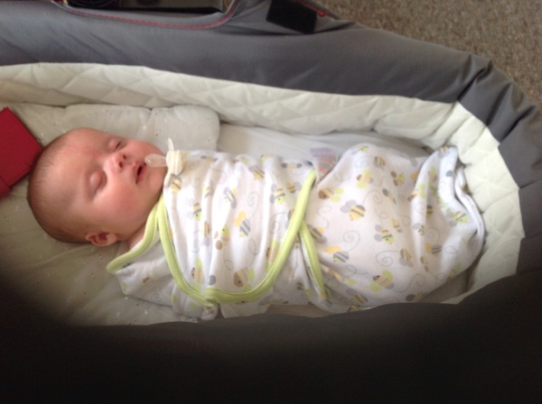 March 2016: the one where Indomitable gives birth...