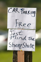 To find this sign hilarious?