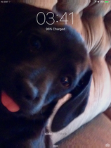 Find out what Mumsnetters thought of the Pedigree® Dog Food Range. £300 voucher prize draw for testers’ feedback. NOW CLOSED