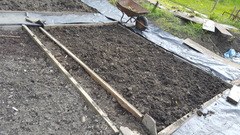 Allotment/Veg Patch Thread 5 - The Diggers Rest !