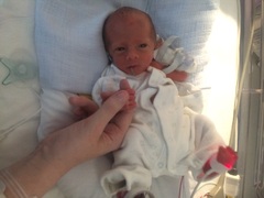 July 2016 Babies (9) - let the babies commence!