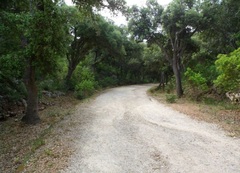 The Fantastic Frugalleers Meander into May.....