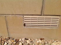 To let bees nest under our house?