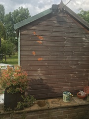 If your shed is blue or green, what paint did you colour it?