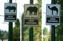 To find this sign hilarious?