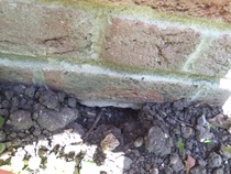 Rat / mouse got into our kitchen from outside. Suspect the builder is at fault. New house. Please advise