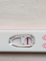 Mixed pregnancy test results
