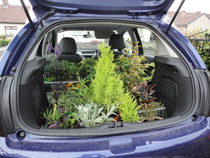 Our Girl and Captain James Addicts XXXV