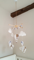 July 2016 Babies (9) - let the babies commence!