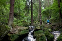 Moving  From USA to Sheffield England need advice and help?
