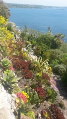 "in the midst of winter, I found there was within me, an invincible summer" Potting shed chat continues here