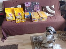 Find out what Mumsnetters thought of the Pedigree® Dog Food Range. £300 voucher prize draw for testers’ feedback. NOW CLOSED