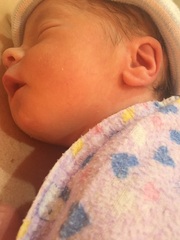 June #9, The ABSOLUTELY FINAL stretch! The one where the little ones start arriving. Here's to sleepless nights and lots of cuddles.