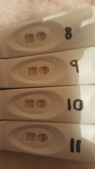 Ladies Hoping for BFP In May