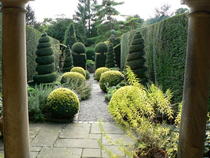 "in the midst of winter, I found there was within me, an invincible summer" Potting shed chat continues here